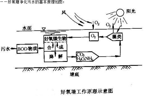 工业区5.png