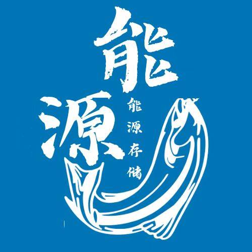 能源模块3--能源存储