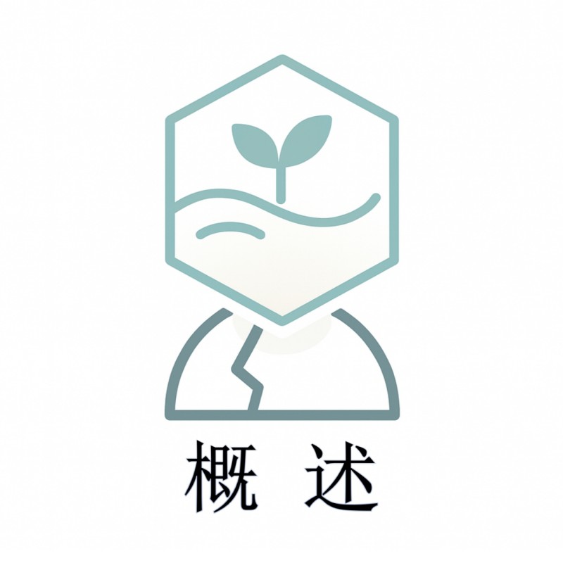 概述模块5--待定