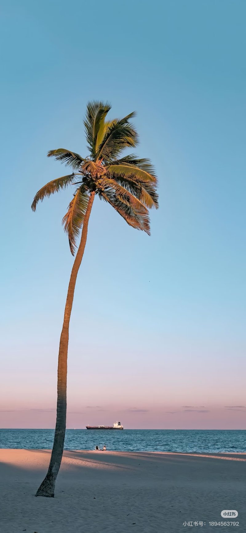 人群模块4——未来世界